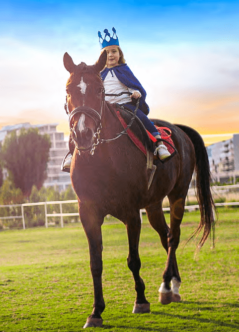 Stables with horse-riding lessons